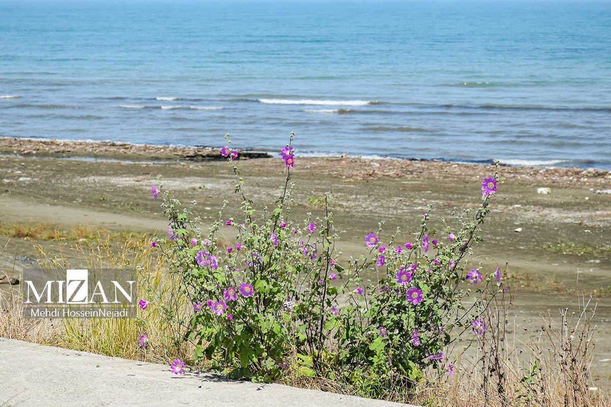 تثبیت و صدور ۱۰۰ درصدی اسناد مالکیت و به‌روزرسانی اطلاعات و نقشه‌های مرتبط در محدوده اراضی و املاک ساحلی دریا‌ها