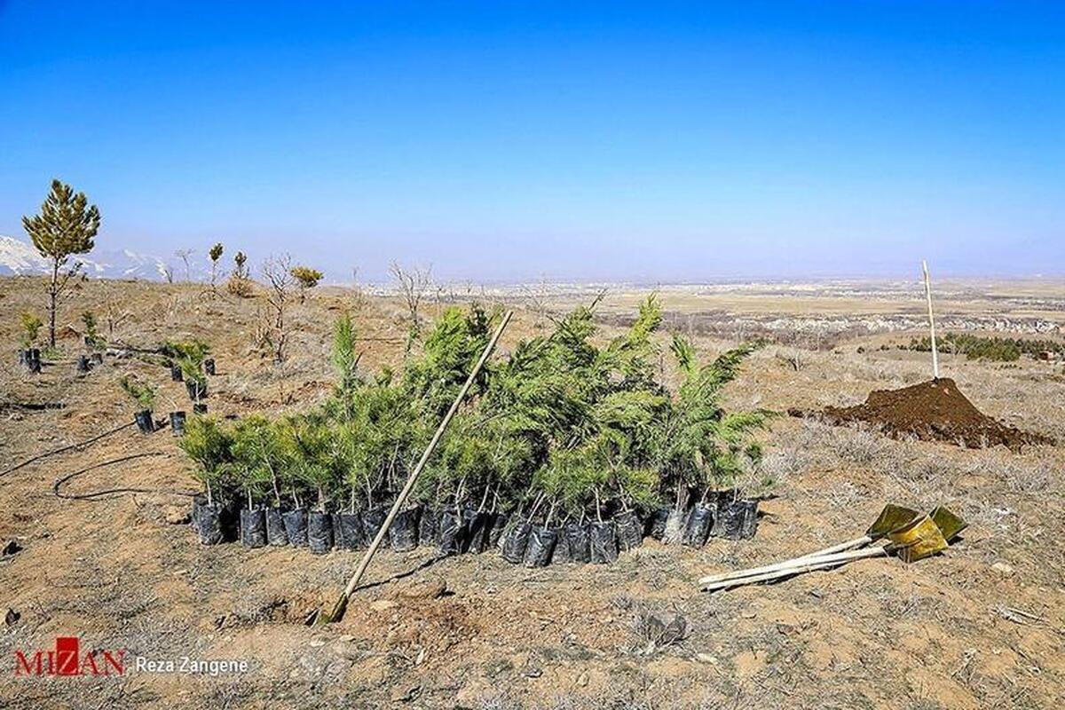 رئیس کل دادگستری خوزستان: از مجازات جایگزین حبس در راستای حمایت از منابع طبیعی استفاده می‌شود