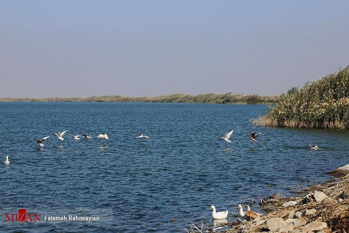 سند مالکیت هفت تالاب استان خوزستان به مساحت ۳هزار و ۸۶۰ هکتار صادر شد