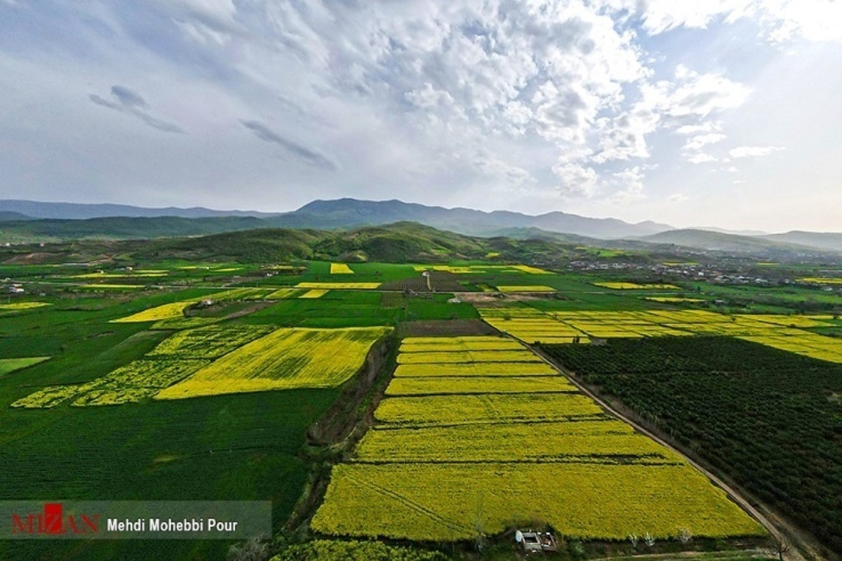 صدور سند مالکیت برای بیش از ۹۰۰ هزار هکتار از اراضی زراعی استان خوزستان؛ مالکیت ۲۲۰ هزار هکتار از اراضی موقوفه تثبیت شد