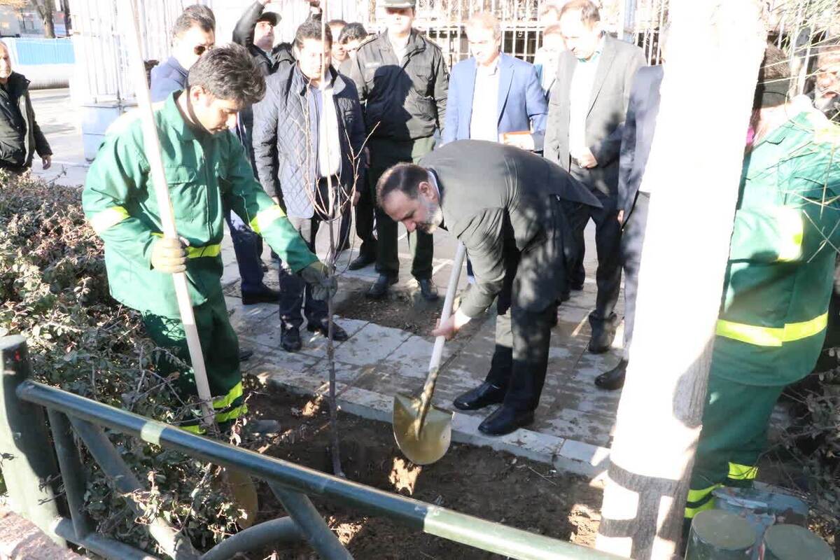 کاشت ۳ اصله نهال در دادسرای تهران/ صالحی: با متجاوزان به منابع طبیعی و اراضی ملی برخورد قاطع خواهد شد