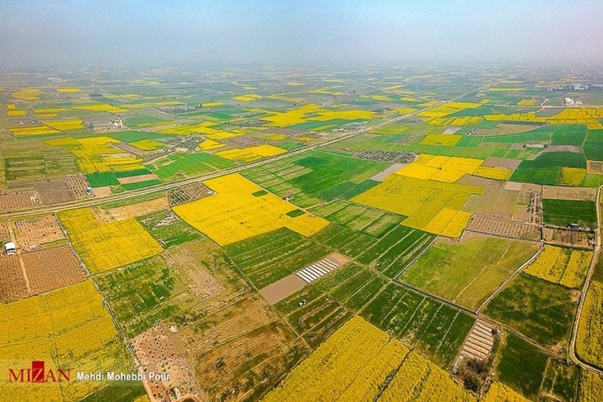 نظارت میدانی بر اجرای حدنگاری از سوی رئیس سازمان ثبت در بخش صالح آباد شهرستان مرزی مهران