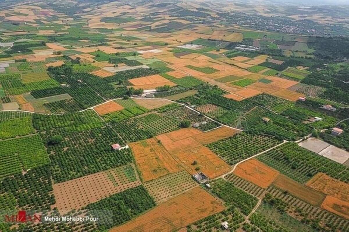 رئیس کل دادگستری استان لرستان: مردم باید برای اخذ سند تک برگ ترغیب شوند