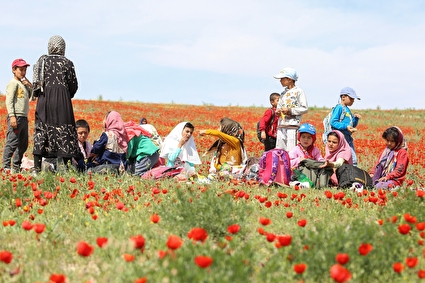 اردوی دانش‌آموزی در دل طبیعت خشت نادری