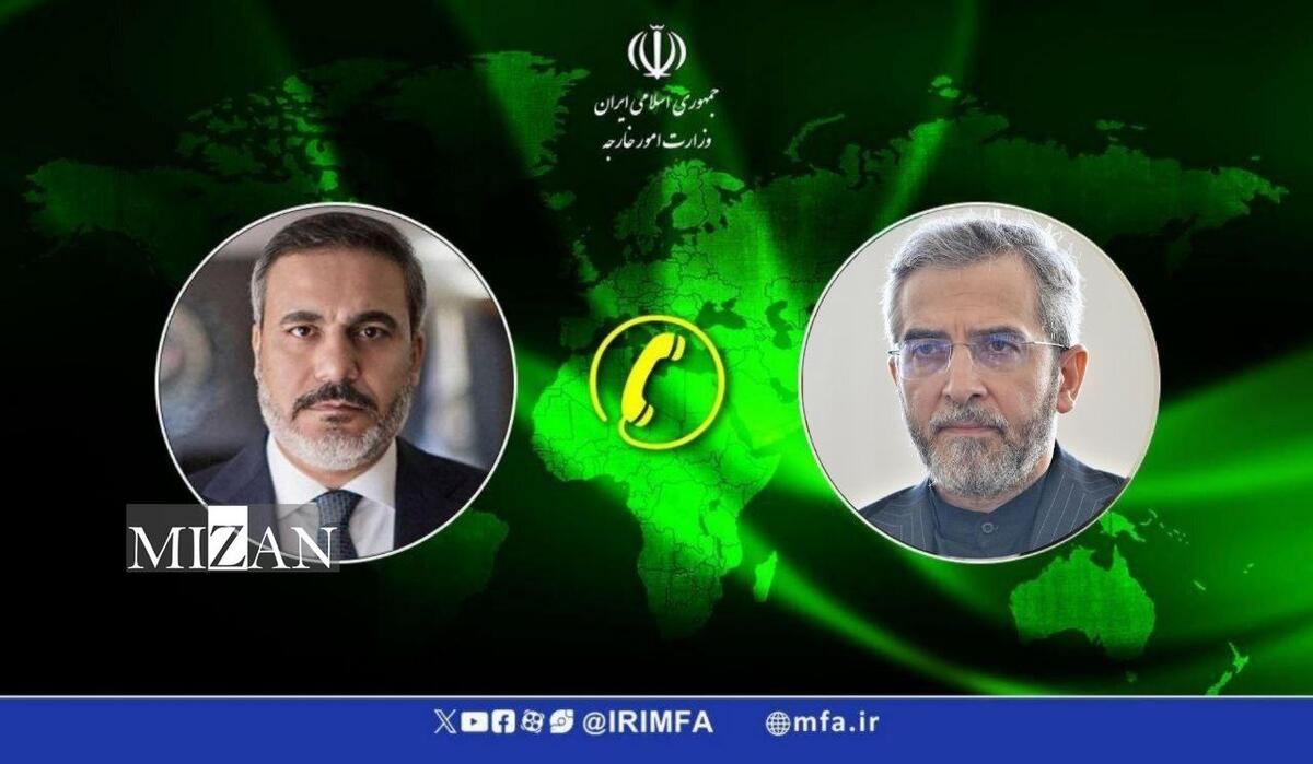 باقری به فیدان: کشور‌های اسلامی از هیچ فرصتی برای پشتیبانی از فلسطین دریغ نکنند