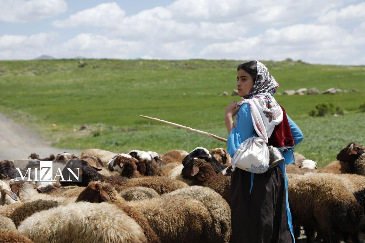 «دشت می‌خواند» موفق به کسب جایزه از جشنواره ایتالیایی شد