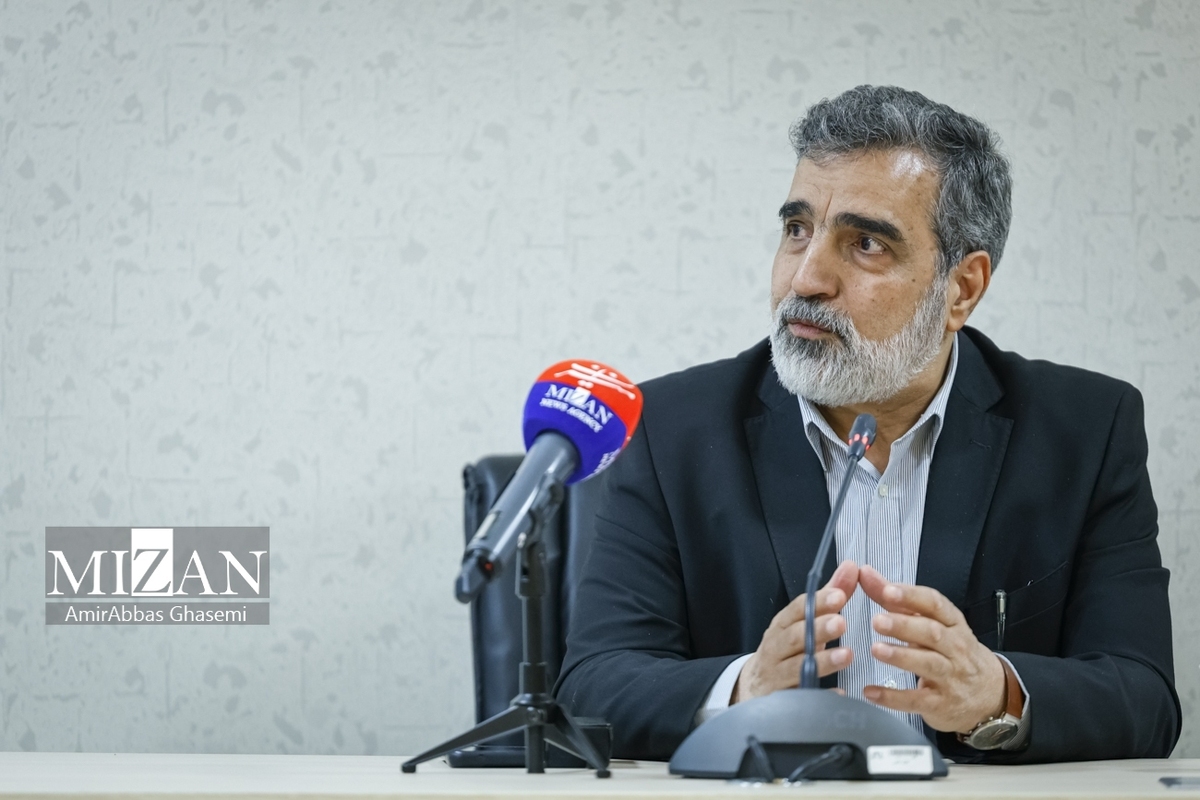 سخنگوی سازمان انرژی اتمی: غربی‌ها با فشار و تهدید به جایی نمی‌رسند