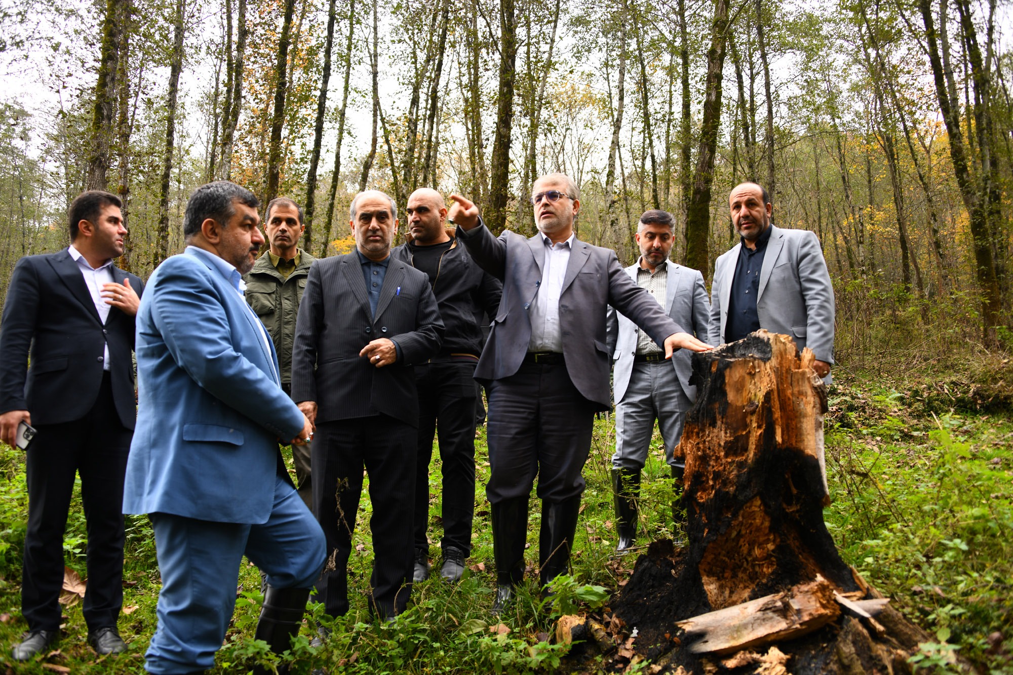 بازدید رئیس کل دادگستری مازندران از جنگل روستای الیرد چهاردانگه